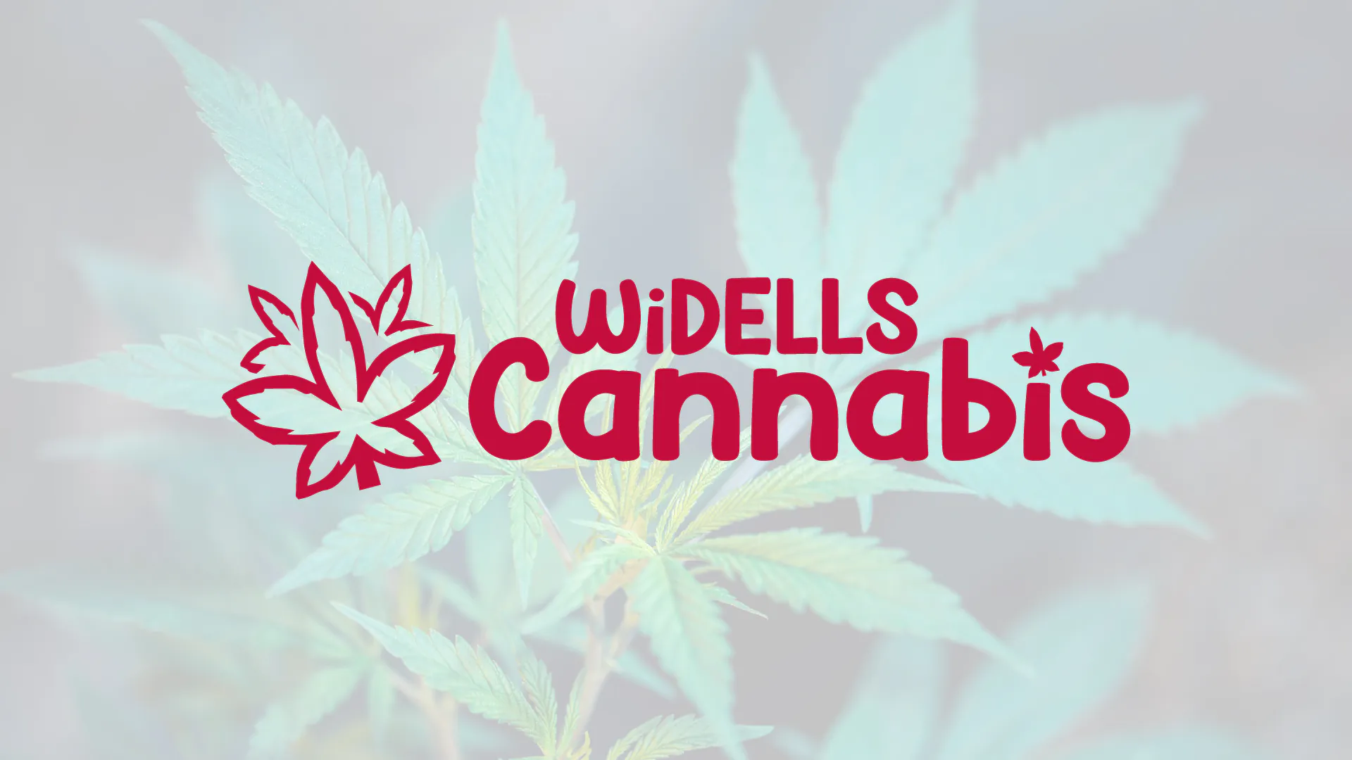 WI Dells Cannabis
