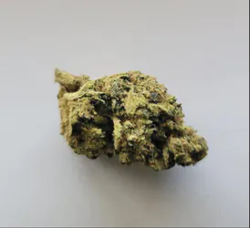Explore Your Wild Side with Lemon Snow Leopard THCA Flower – 1/8oz